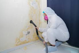 Best Industrial Mold Remediation  in Montello, WI